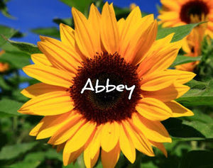 Meet your Posher, Abbey